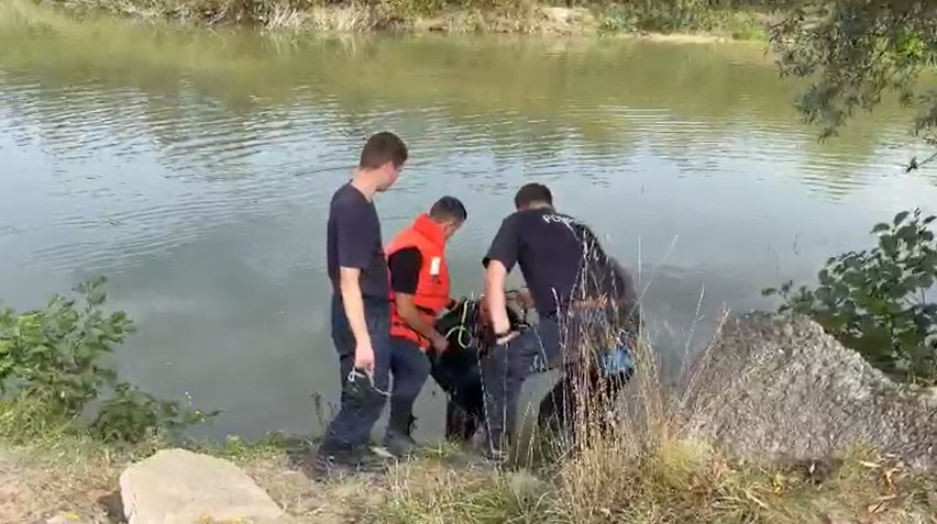 Băiețelul de 4 ani dispărut din Dofteana, județul Bacău, a fost găsit decedat în râul Trotuș