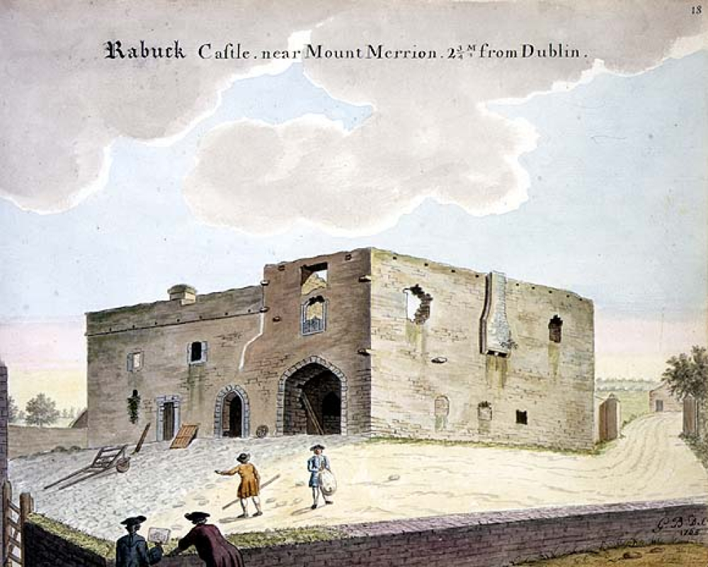 Descoperit: castel