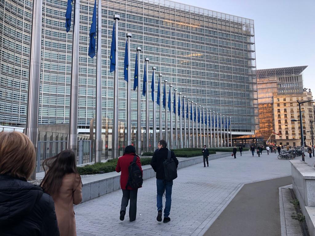 11 țări cer suspendarea adoptării de legi UE pentru un an