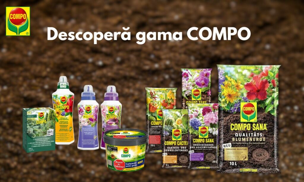 COMPO se lansează în România, în parteneriat cu Verdon