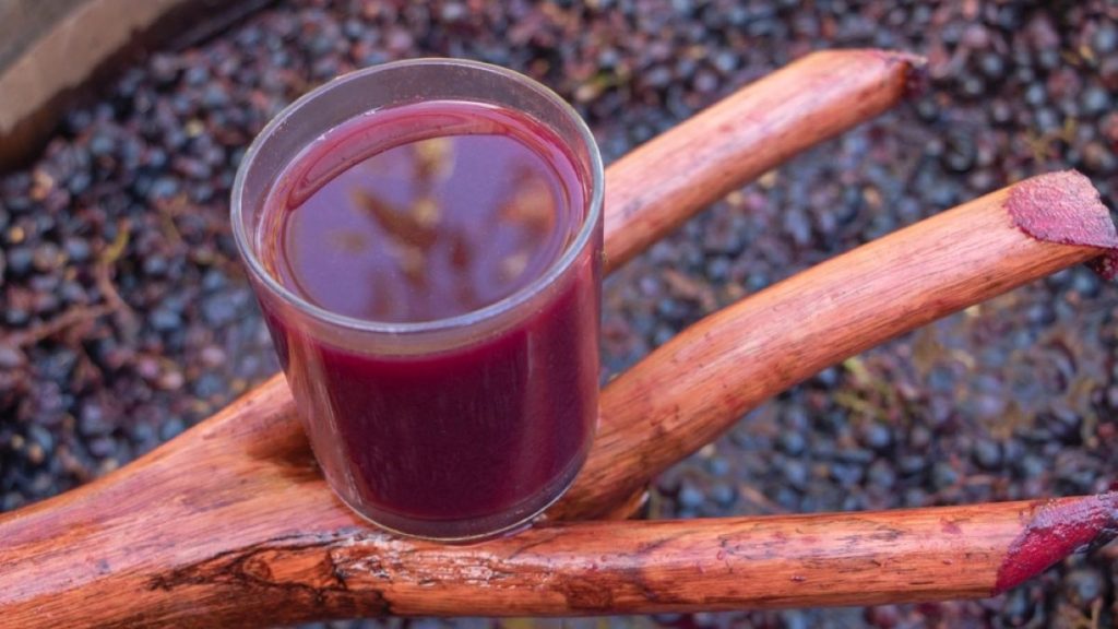 Descoperă semnele că mustul începe să fermenteze și aromele se schimbă