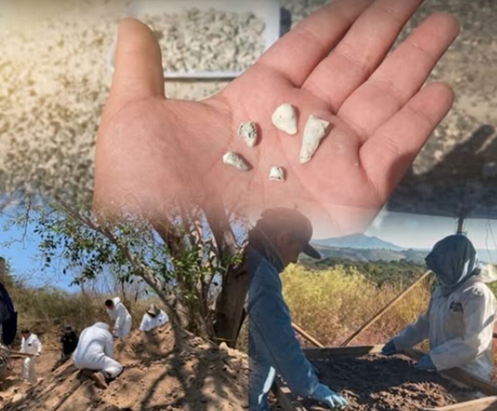 1.600 de dinți de lapte într-o groapă comună. Descoperirea care cutremură Mexicul