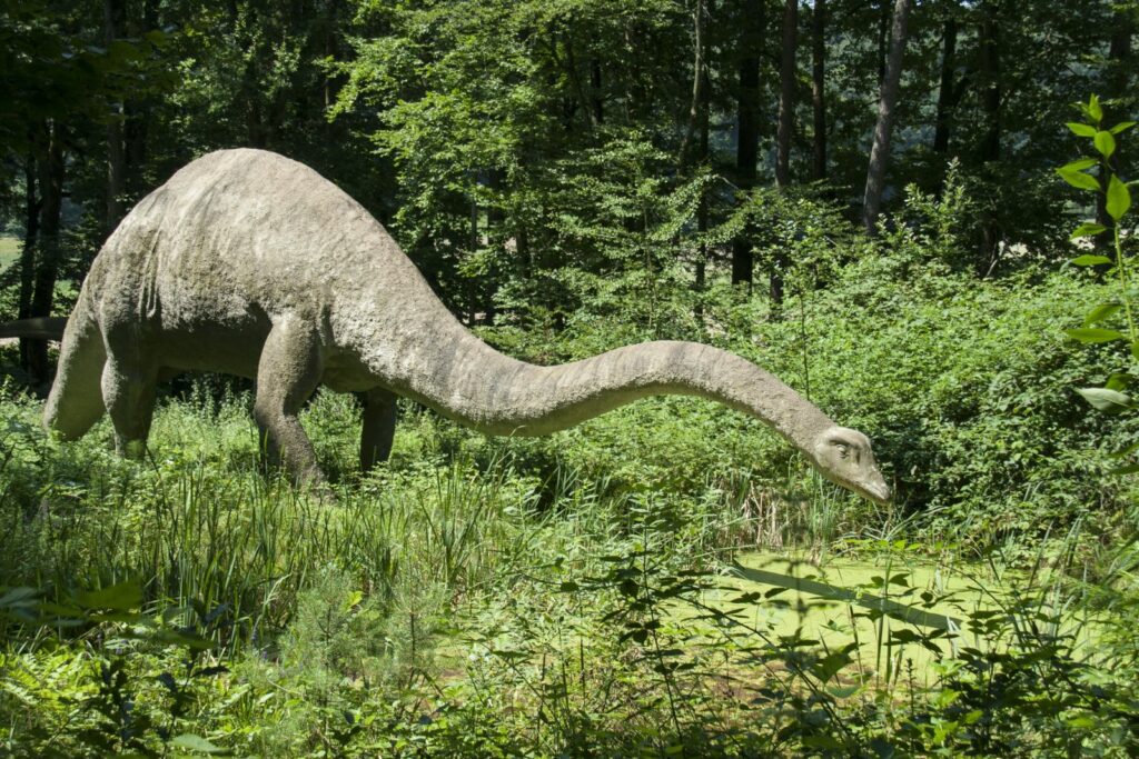 150 de milioane de ani: gigant rescrie istoria dinozaurilor în Europa