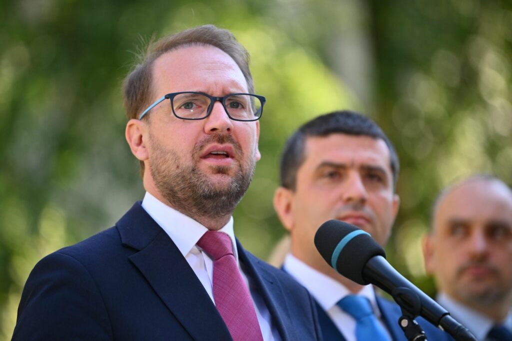Dominic Fritz: dacă România trece la alegeri anticipate, vom merge