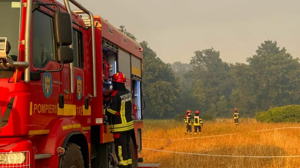 Incendiile mistuie zeci de hectare în vestul României, IGAv intervenit