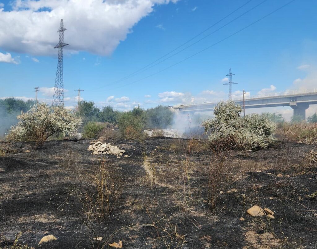 Incendiu devastator în Vrancea: 60 de hectare distruse de flăcări