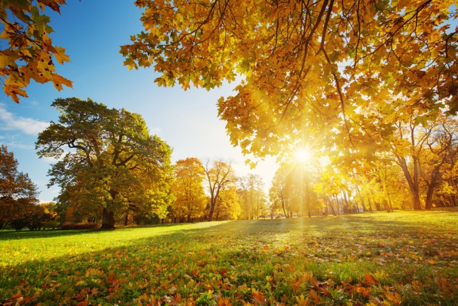 Meteorologii actualizează prognoza pentru vremea din septembrie
