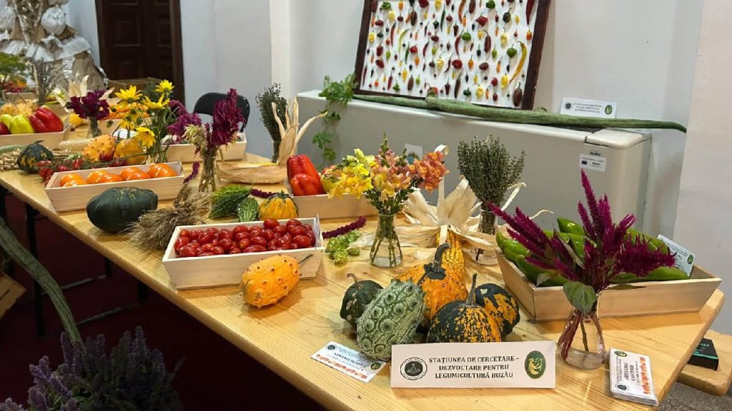 Kiwano, fructul african din Buzău, rezistă 6 luni și costă 10 lei