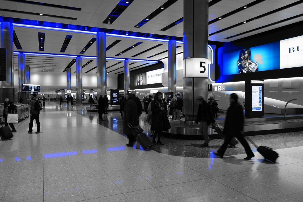 Alertă pe un aeroport internațional. Specie invazivă ce poate provoca un dezastru economic, descoperită în bagajul unui pasager
