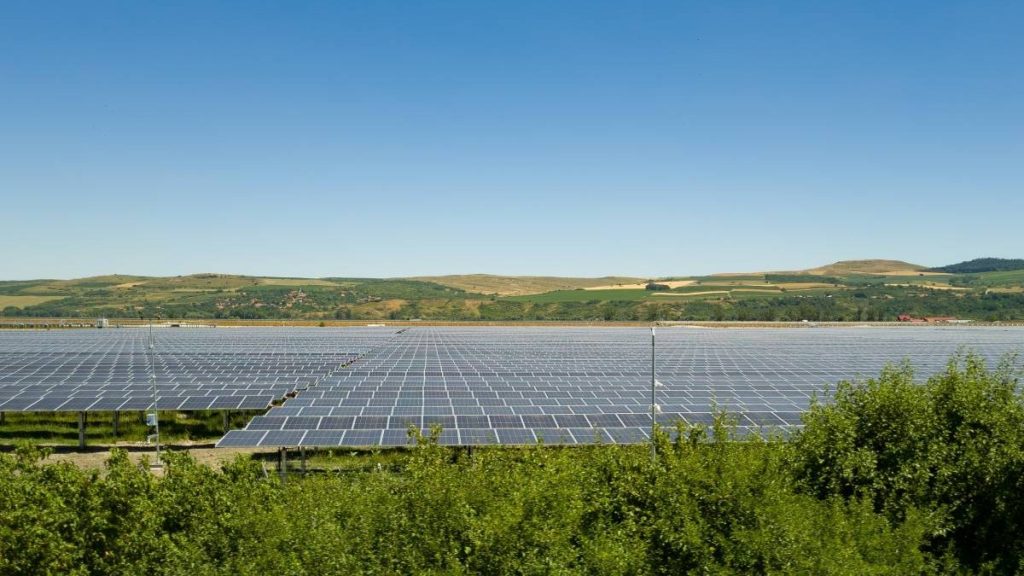 Parcul solar de 1.000 de hectare din Arad, Dama Solar, finanțat cu 561 de milioane de euro, va produce anual 1.800 GWh de energie verde