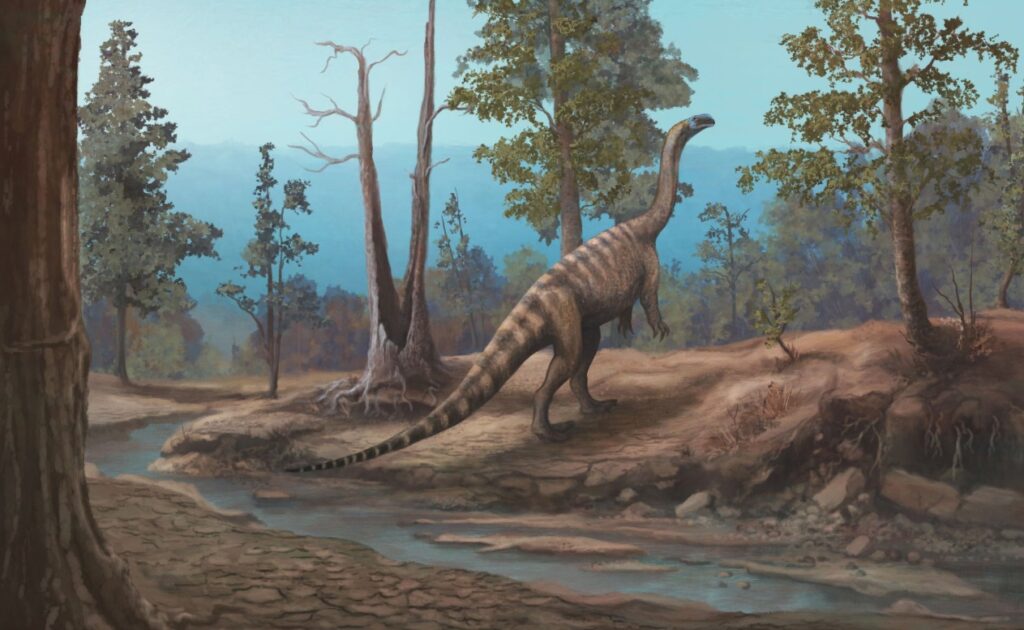 În Africa, dinozaur necunoscut de 4,5 metri găsit după opt ani