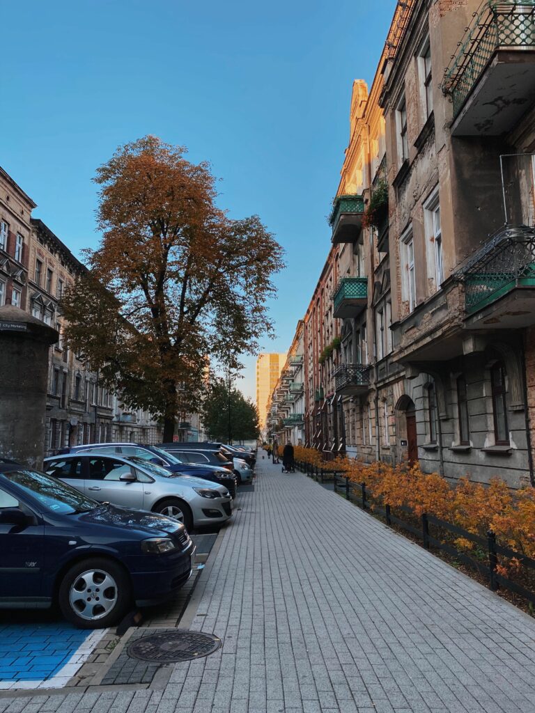 Află secretul trucului cu numere poloneze folosit în România și Italia