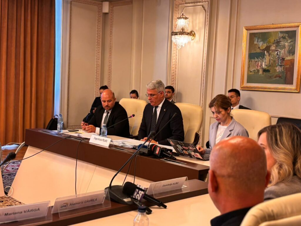 Dragoș Pîslaru: Decizia privind sesizarea CCR trebuie luată în Biroul Permanent Național al PNL