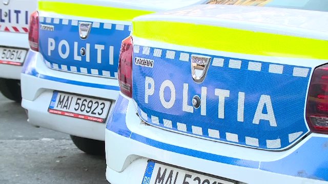 Descoperită cultură de canabis de 4 metri în Dâmbovița