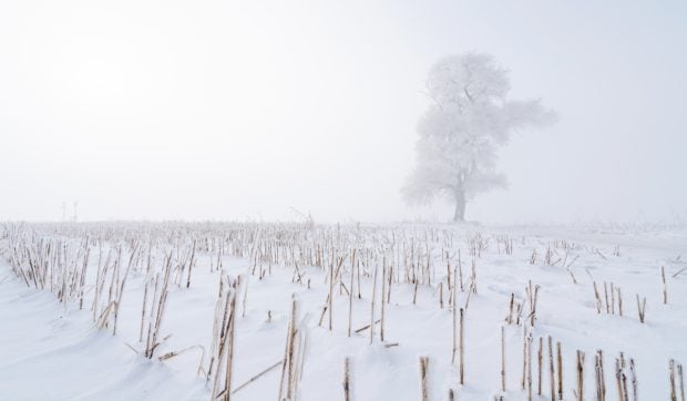 Prognoza ninsorilor pentru iarna 2026-2027 în Europa: primele modele meteo arată schimbări majore din cauza Super El Niño