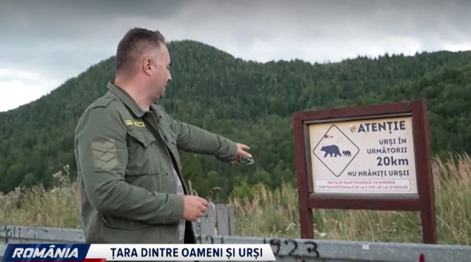 Urșii din România: autorități, cercetători și activiști, ‘E haos total