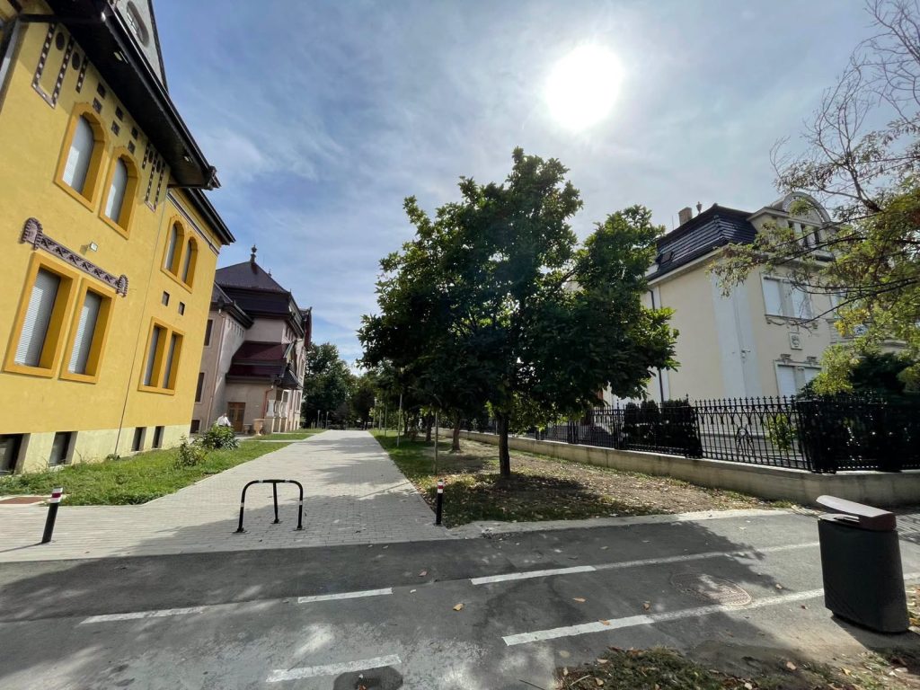 Primăria Timișoara câștigă procesul pentru strada Cezar. Cei care i-au spus lui Dominic Fritz „Stai în banca ta, sunt alții mai mari ca tine” pierd în instanță