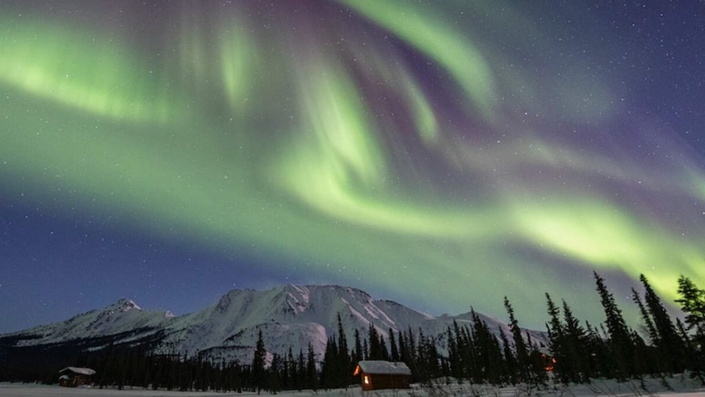 O familie din Alaska cheltuie 4.000 de dolari pe provizii ca să reziste în iarna extremă din Eagle: „Anul trecut am rămas fără unt”