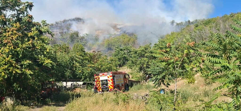 Incendiu de vegetație în Tulcea amenință pădure, animale și locuințe