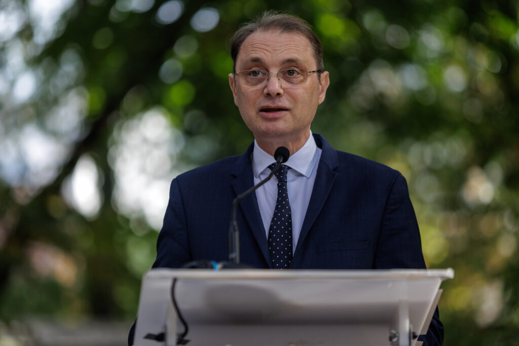 Luca Niculescu: My preference is for a political government