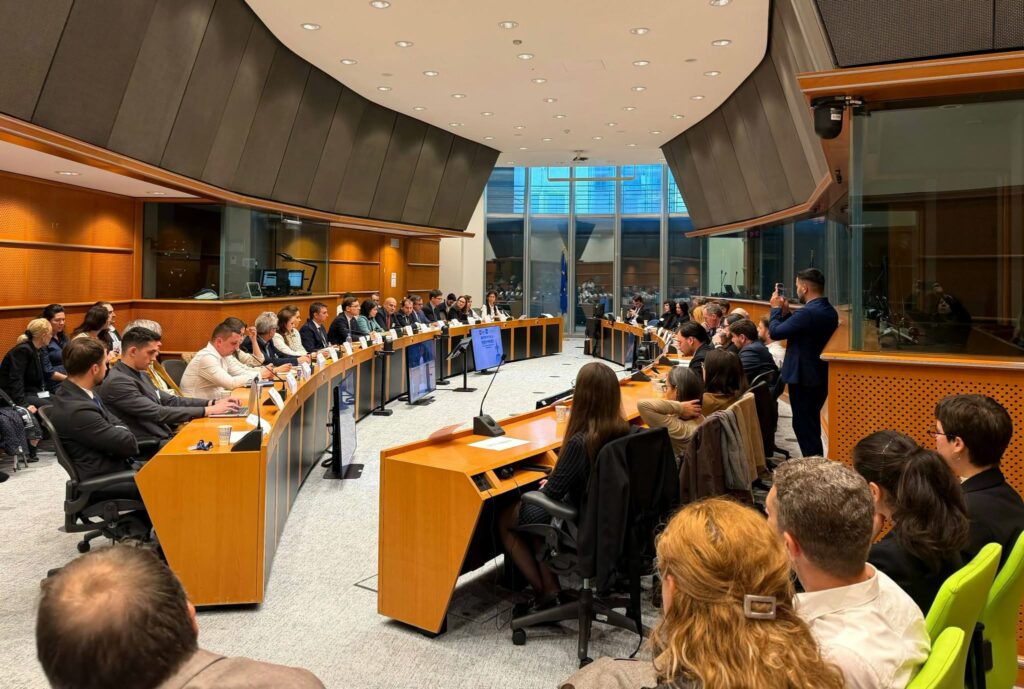 Discuții în Parlamentul European despre securitatea Europei pe Flancul Estic. Negrescu: Nu este suficient să cumpărăm echipamente