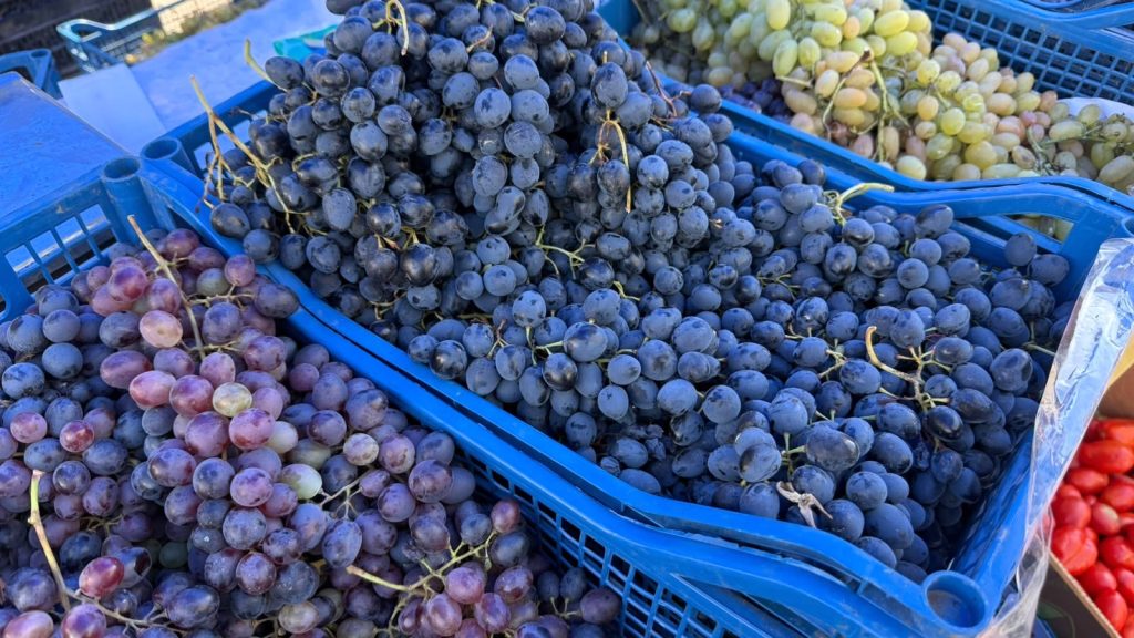 Mustul din București: prețuri și mod de vânzare – pahar sau sticlă