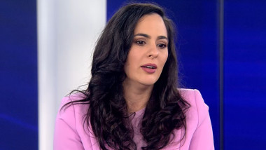 Exclusiv Cum a ajuns mesajul despre gay din Guvern pe grupul Comisiei conduse de Diana Stoica la Camera Deputaților: „O să fiu mai atentă”