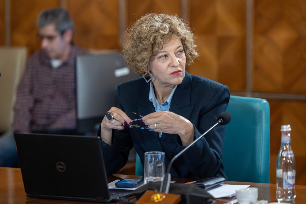 Oana Gheorghiu: Votul PNL pentru Luca Niculescu nu vine pe simpatie, ci pe program și miniștri. Ce așteptări au liberalii