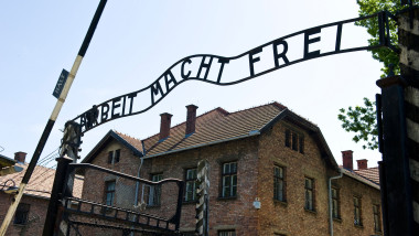 Lituanianul care a salutat fascist la Auschwitz primește amendă